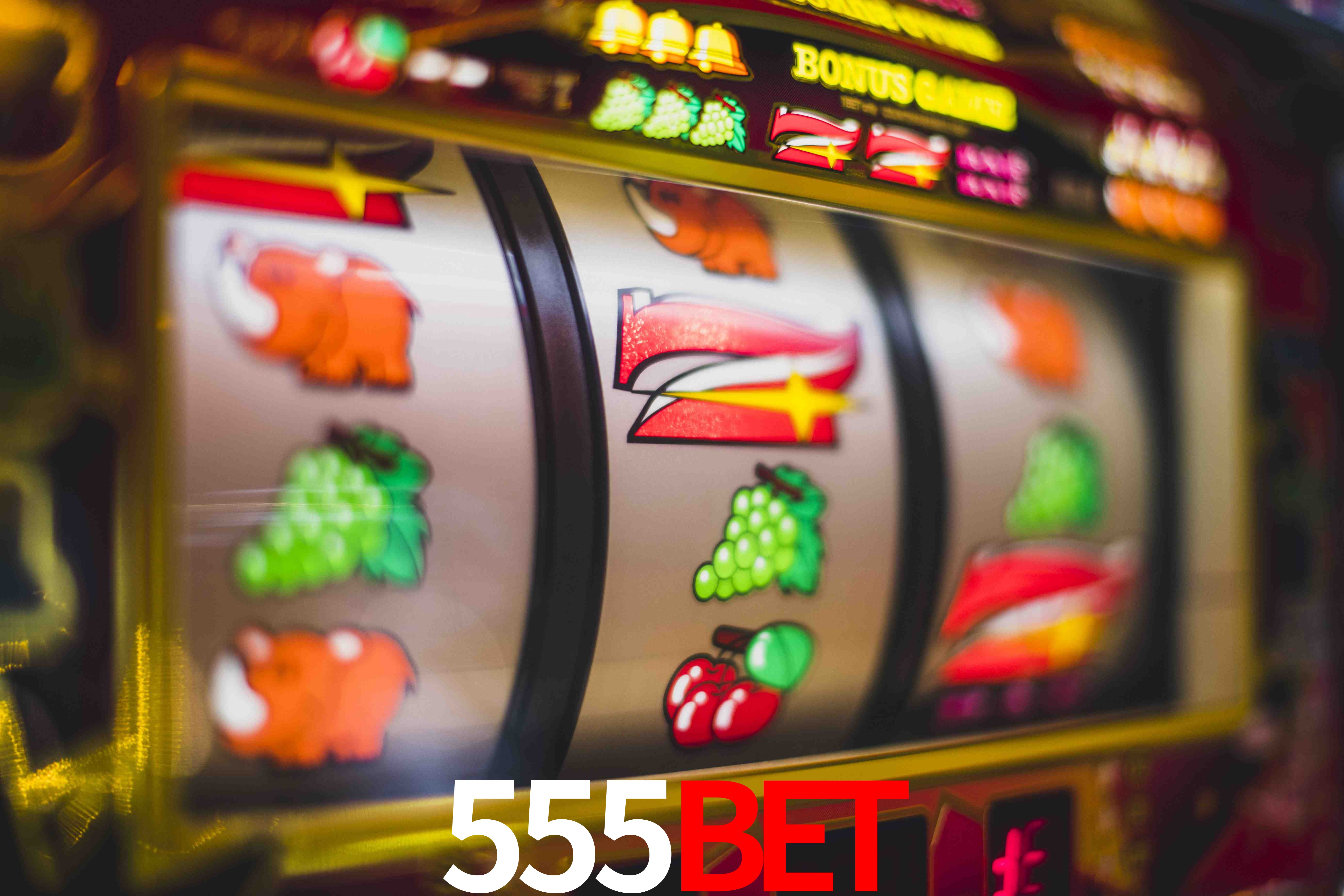 Sports Statistics 555bet